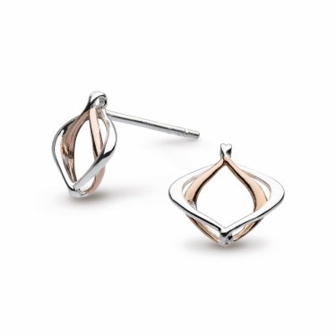 Contemporary Silver earrings