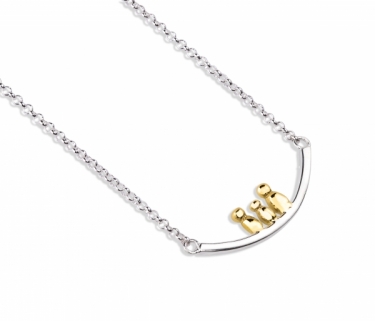 Silver & Gold Clan Necklace
