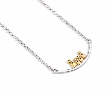 Silver & Gold Clan Necklace 